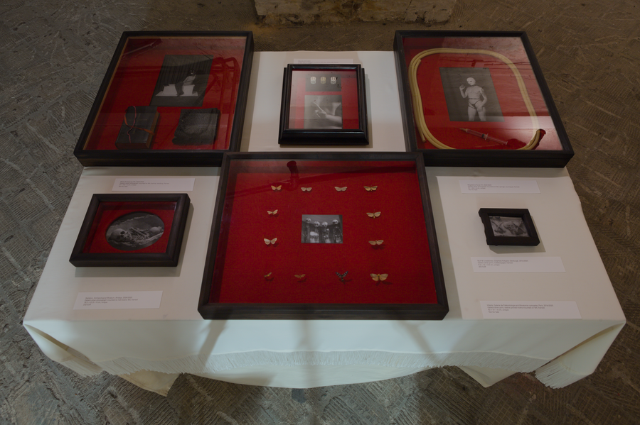 Installation view from photographic art exhibition at Pandora Art Gallery, Berlin, Germany. 6 artworks on a table, photographs and objects mounted on red felt in black frames.