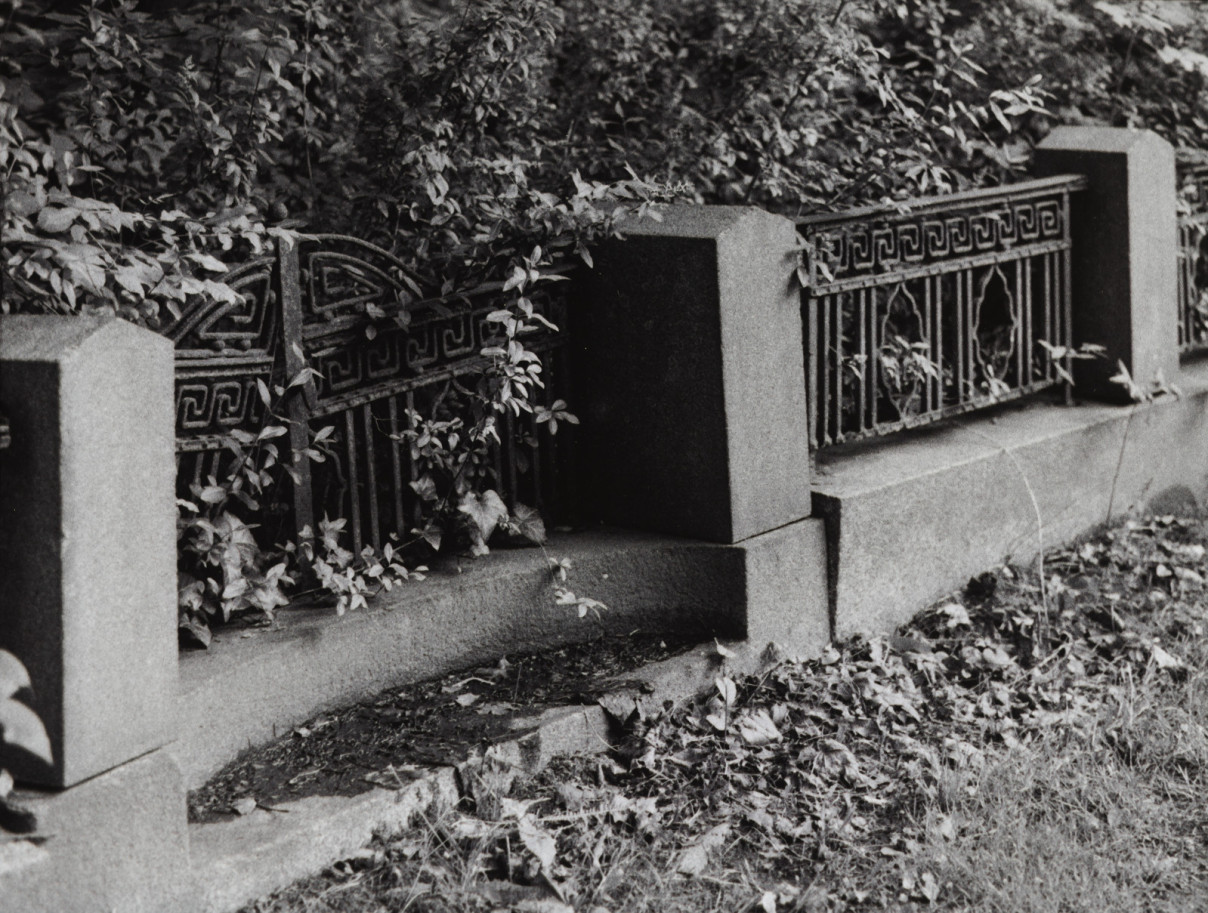 Omen II, Berlin by Johnny Welch. Photograph of an iron gate in an overgrown cemetery